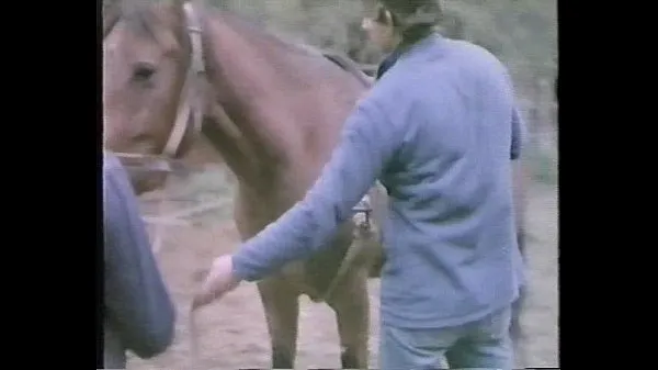 Toon La Perdizione aka Marina's Animals (1986 Drive-films