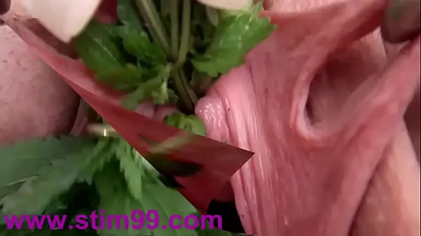 Show Nettles in Peehole Urethral Insertion Nettles & Fisting Cunt drive Movies