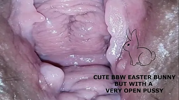 Εμφάνιση ταινιών Cute bbw bunny, but with a very open pussy drive